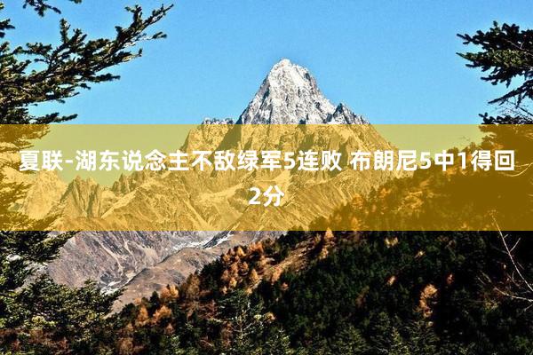 夏联-湖东说念主不敌绿军5连败 布朗尼5中1得回2分