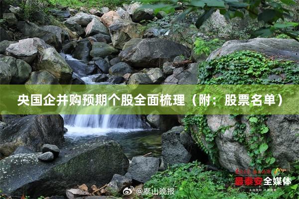 央国企并购预期个股全面梳理(附:股票名单)
