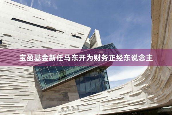宝盈基金新任马东开为财务正经东说念主
