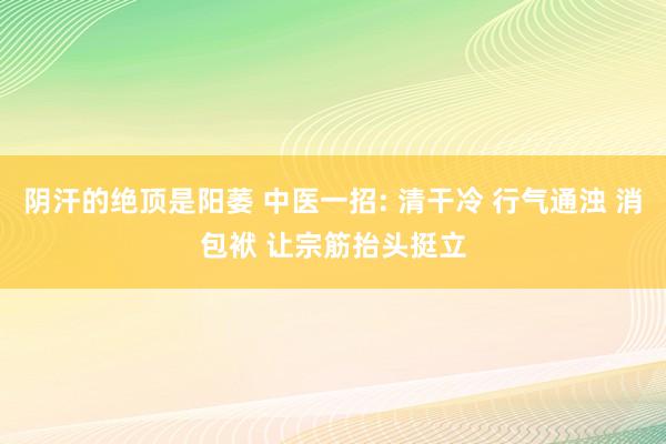阴汗的绝顶是阳萎 中医一招: 清干冷 行气通浊 消包袱 让宗筋抬头挺立