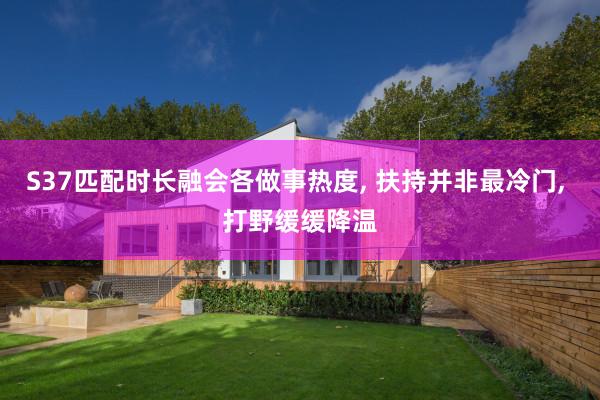S37匹配时长融会各做事热度, 扶持并非最冷门, 打野缓缓降温